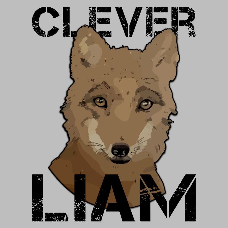 L’anniversaire de Liam Liam