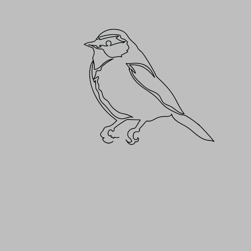 One Line Drawing Vogel Sparrow Single Art