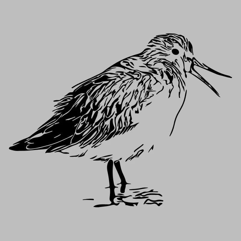Coureur de la rivière Oiseau
