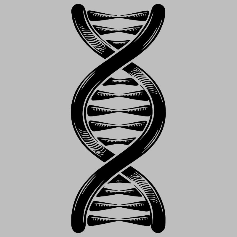 DNA strand double helix with hydrogen bonds