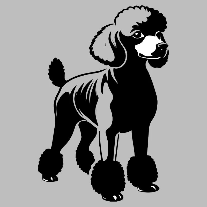 Caniche - Conception de chien de compagnie