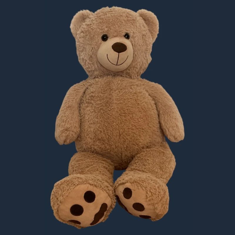 Brown Cuddly Teddy Plush