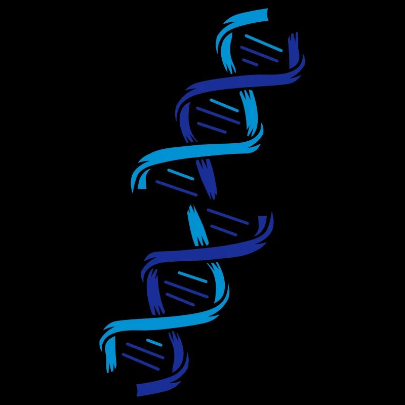 The structure of a DNA molecule