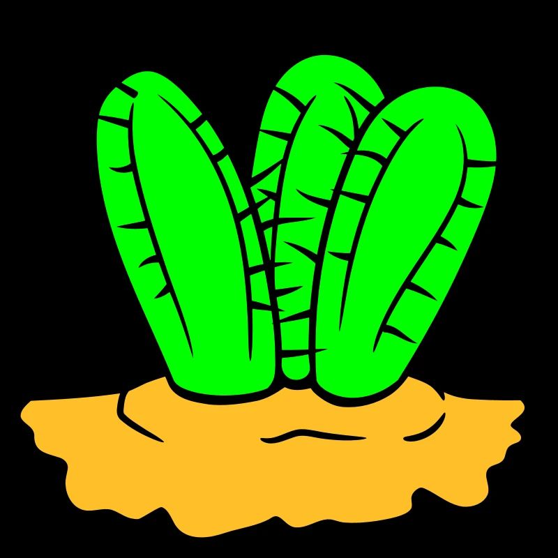 3 Cactus Plants Prickly Spiny Cacti Desert
