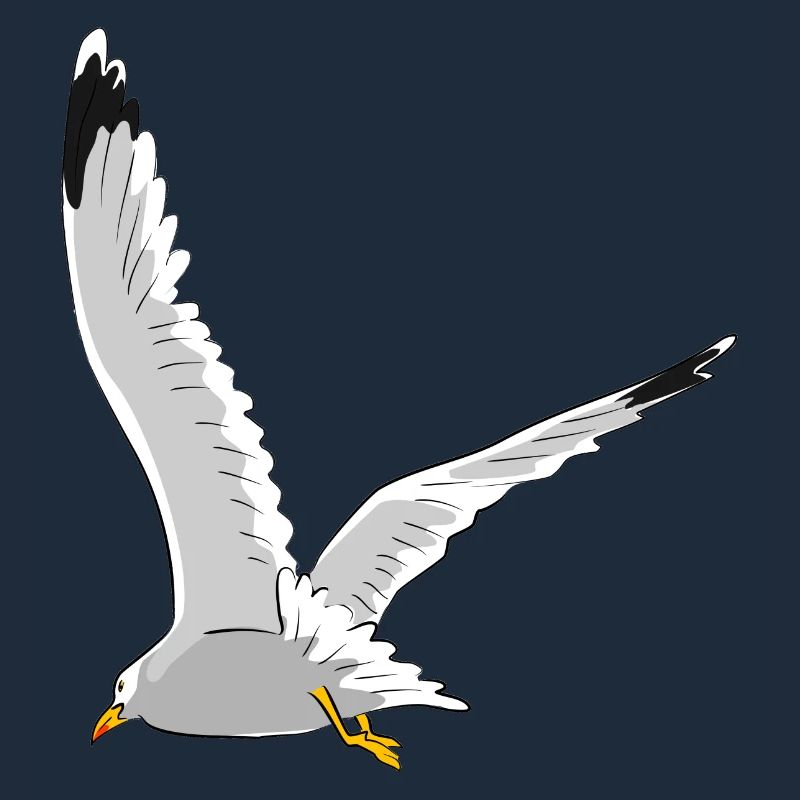 Möwe im Flug