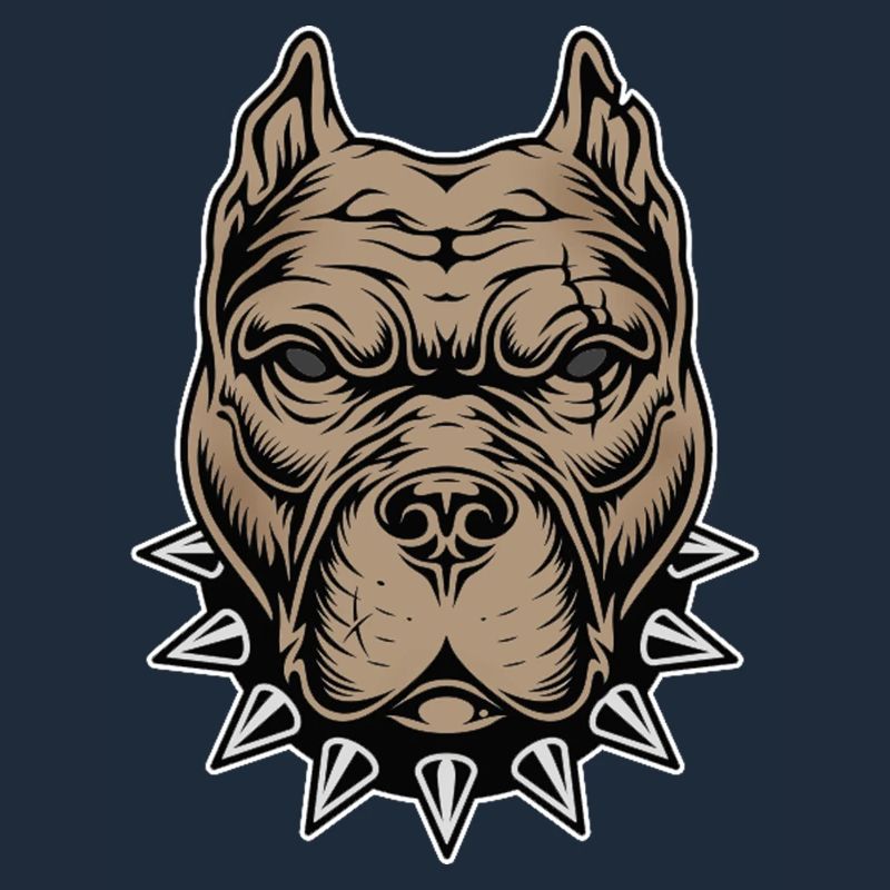 Aggressive dog