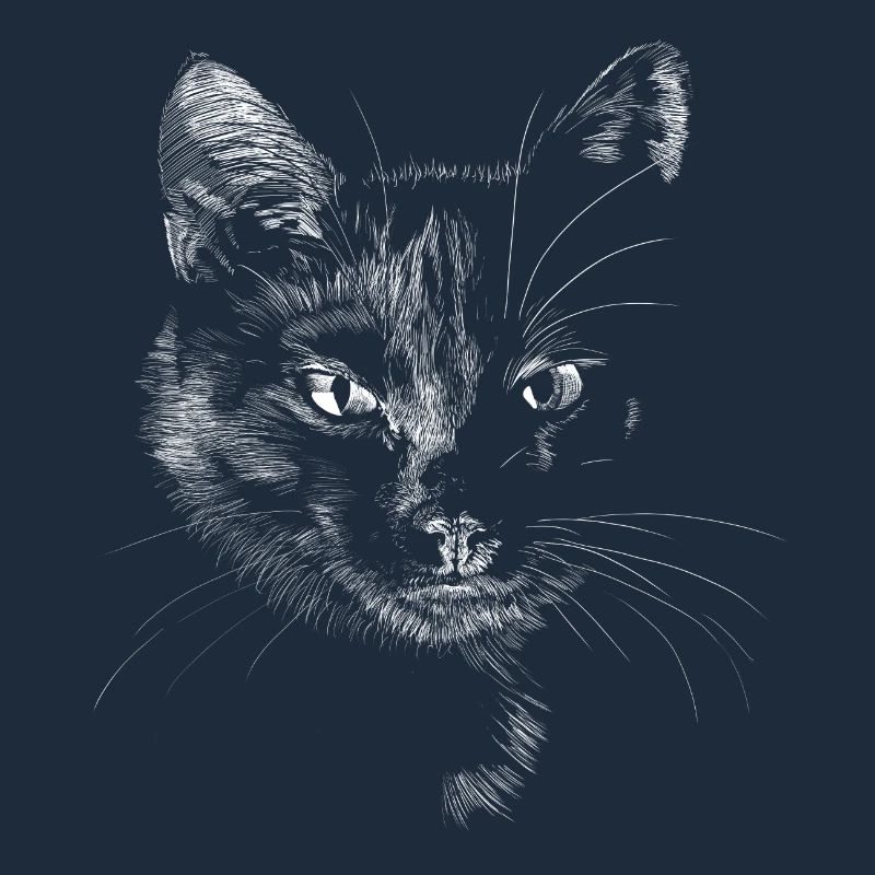 Chat noir