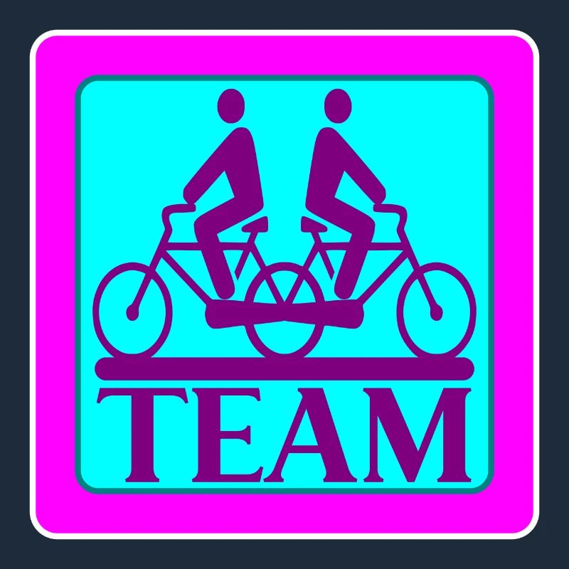TEAM PROBLEMS - BICYCLE - STRATEGY