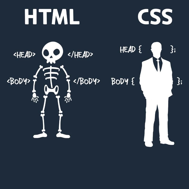 Code Css C++ Php Java Developer Code Scripting