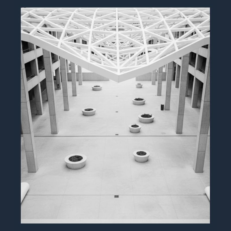 Geometic Atrium Black and White