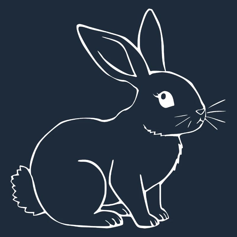 Rabbit Bunny Bunny Dwarf Rabbit Gift