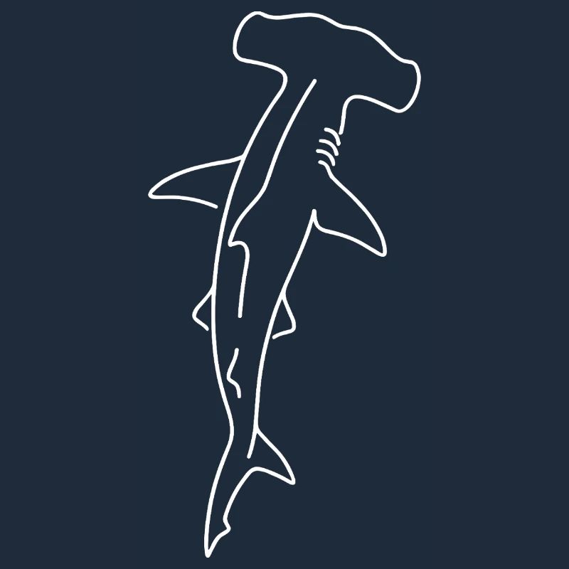 Dessin du contour du requin-marteau