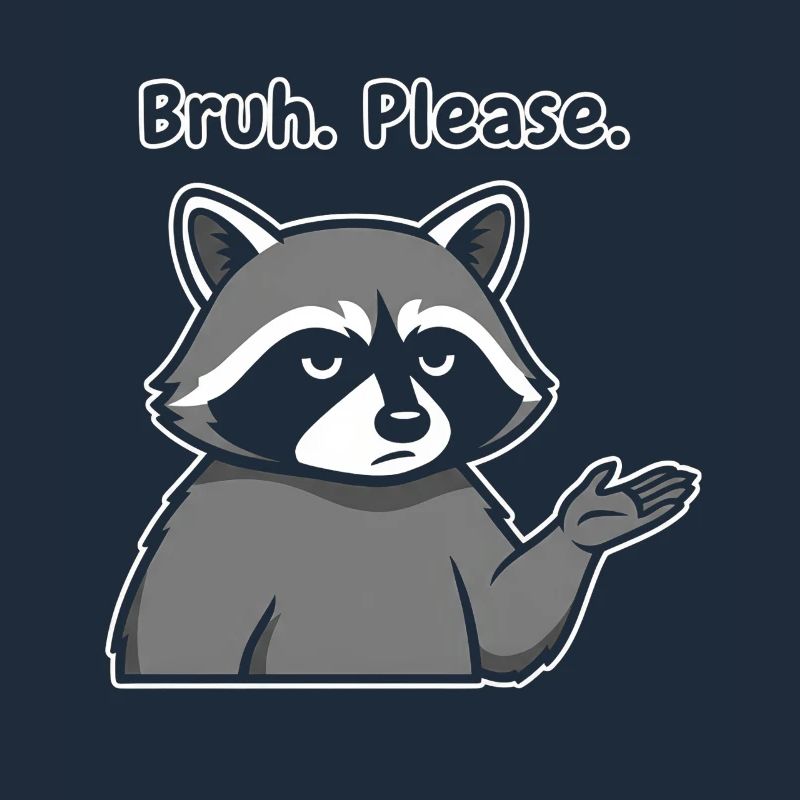 Bruh Bitte Waschbär-Meme