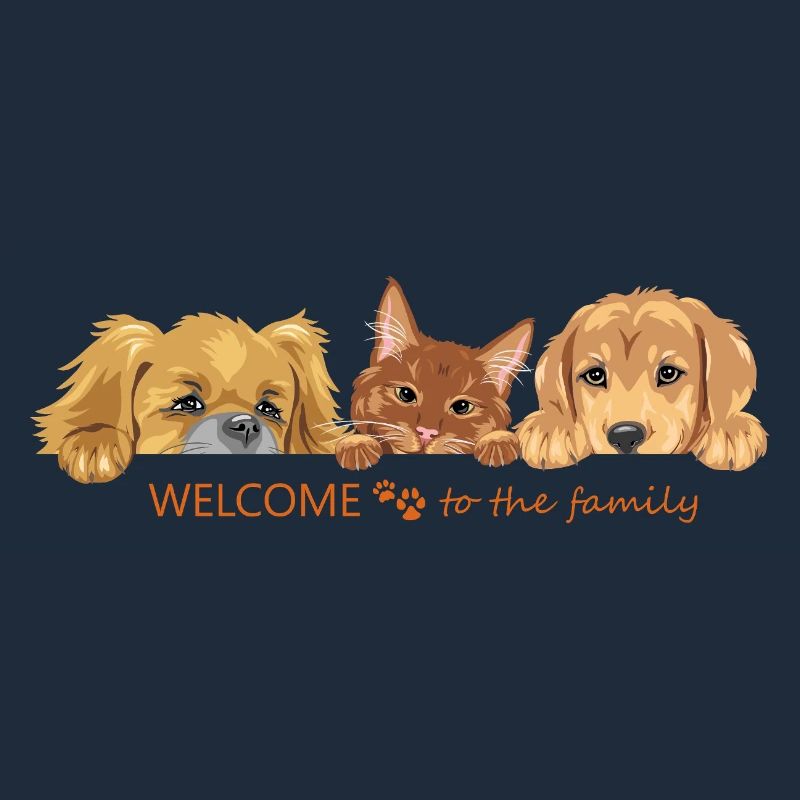 Coup d’œil mignon chat roux et deux chiens
