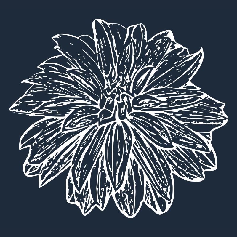 Fleur, Blanc, Fleur Blanche