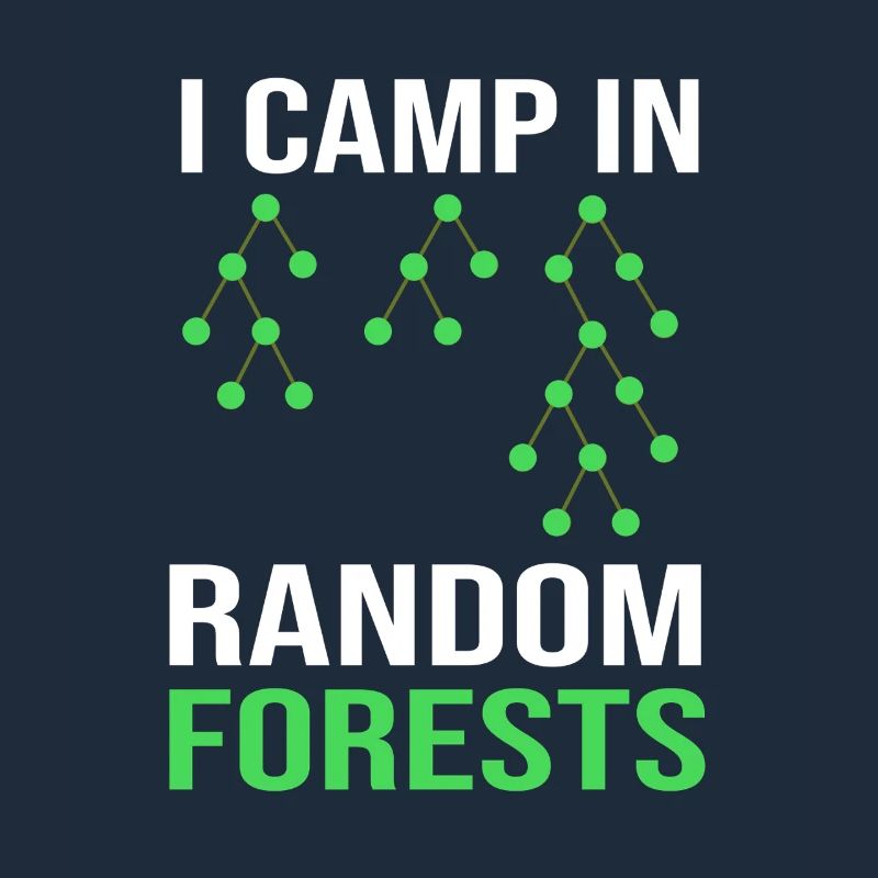 Programmierer Coder GPT