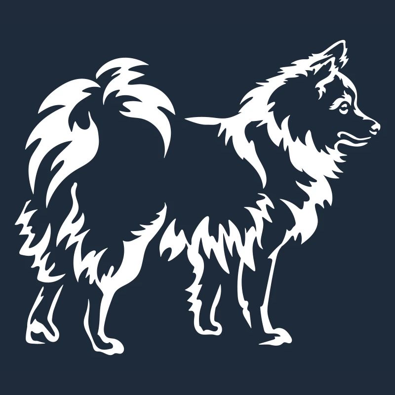 Spitz "Black Edition"