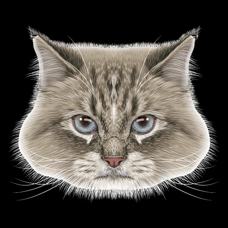 Siberian Cat