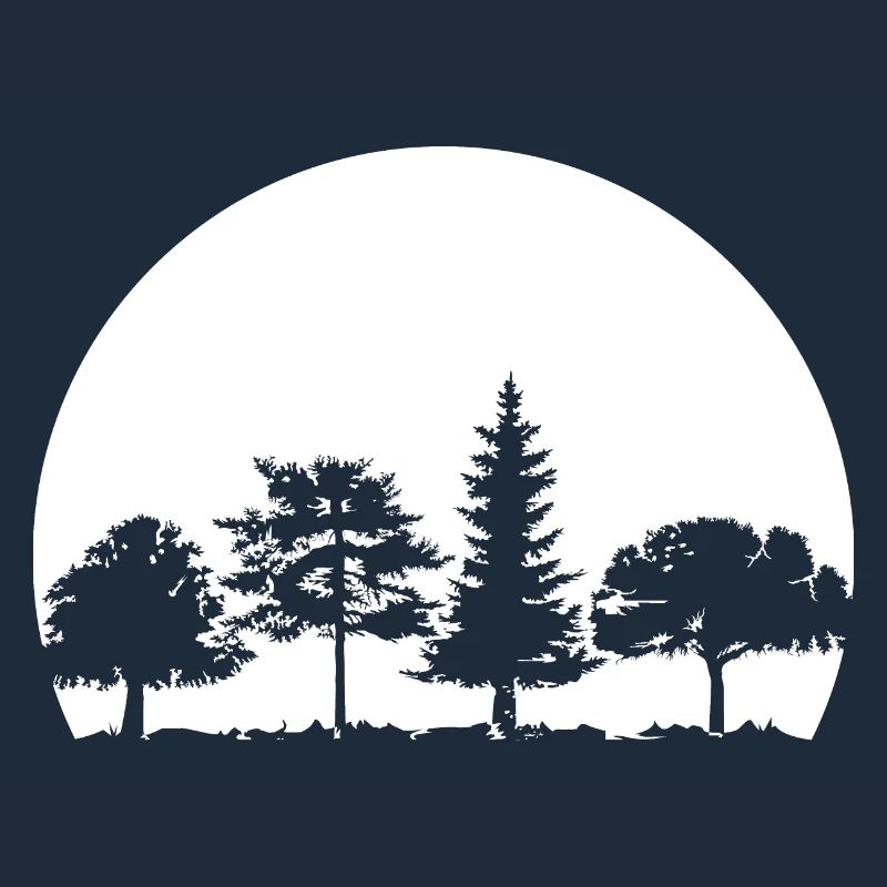 Forest, Moon, Mixed Forest, Nature, Oak, Beech, Birch, Spruce