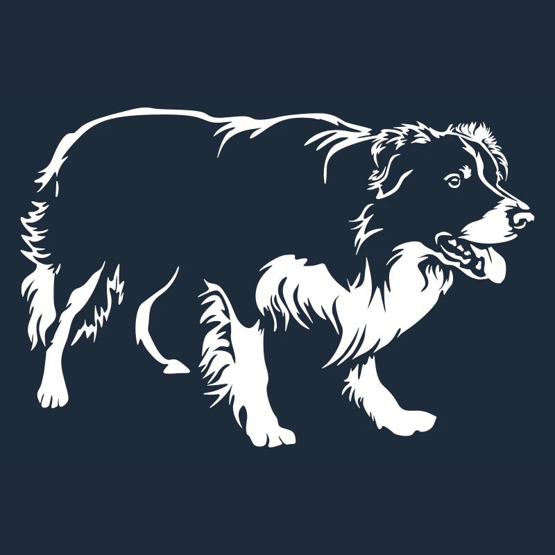 Border Collie "Black Edition"