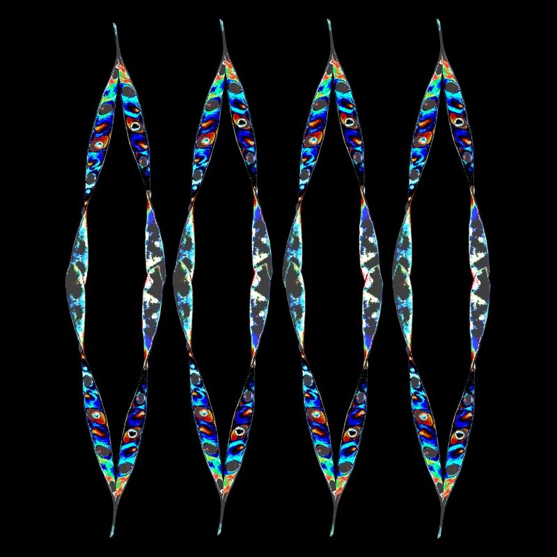 Colorful design