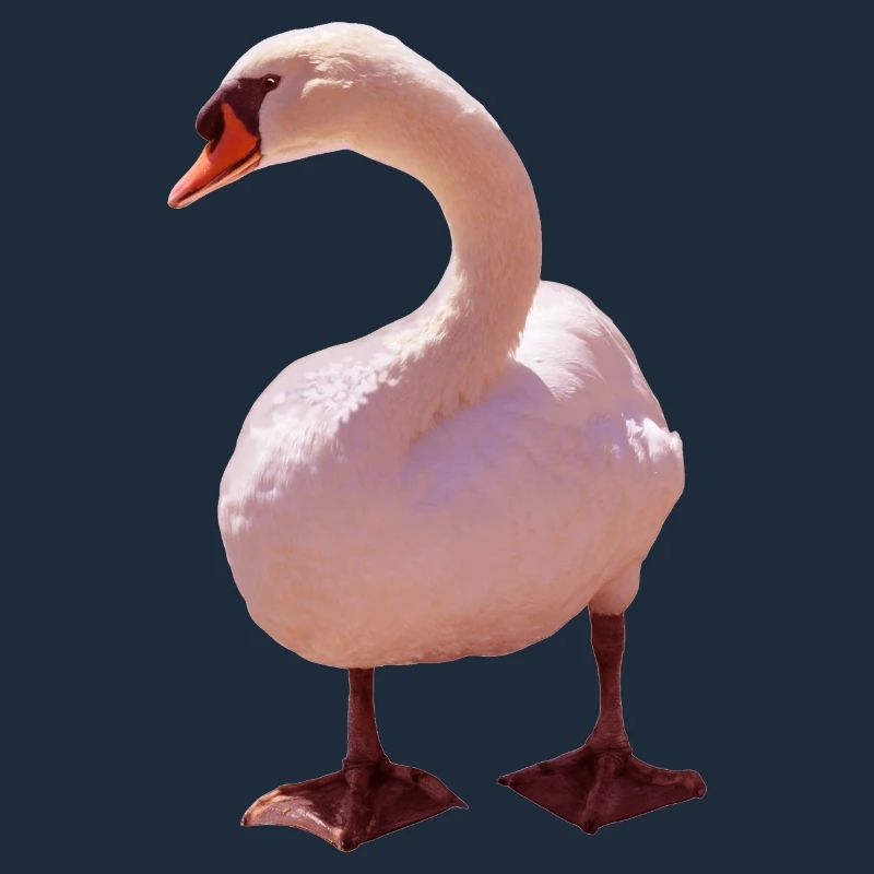 Schwan