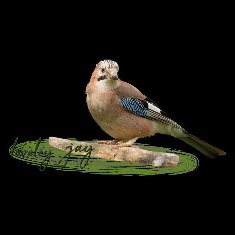 Jay