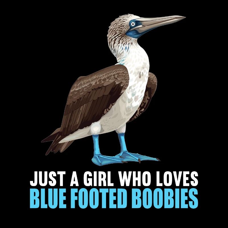 Blue-footed booby