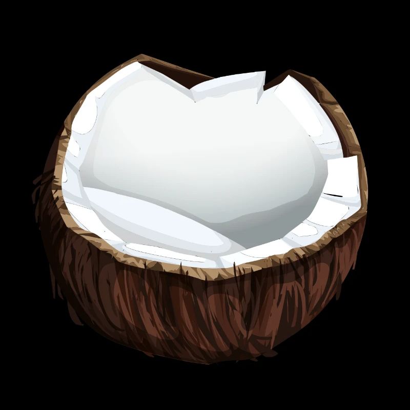 Noix de coco noix de coco fruits de noix de coco