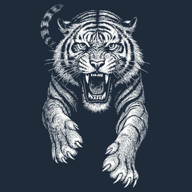 Tiger wild cat predator cool sketch Drawing