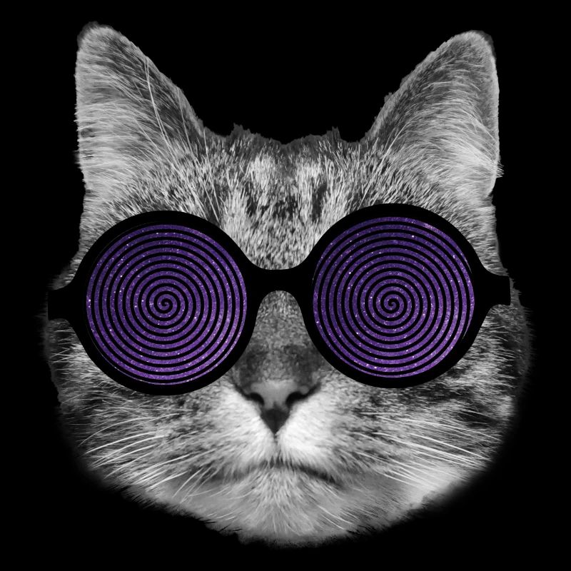 Lunettes pour chat et hypnotiques