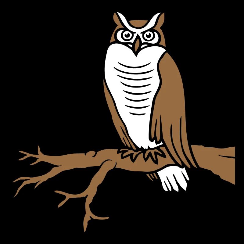 Eule Vogel Uhu Ast Baum Wald Schleiereule Kauz süß