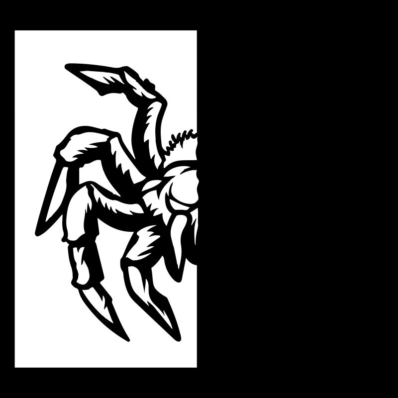araignée araignée