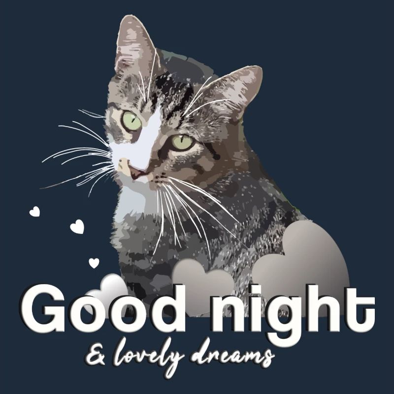 Schlafshirt gute Nacht good night