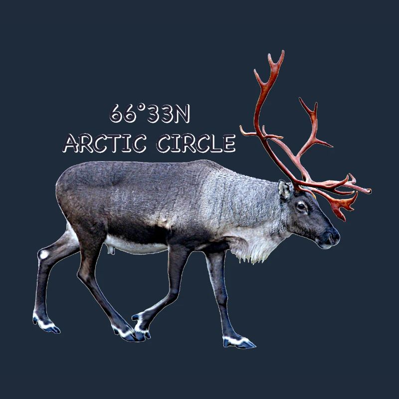 Arctic Circle
