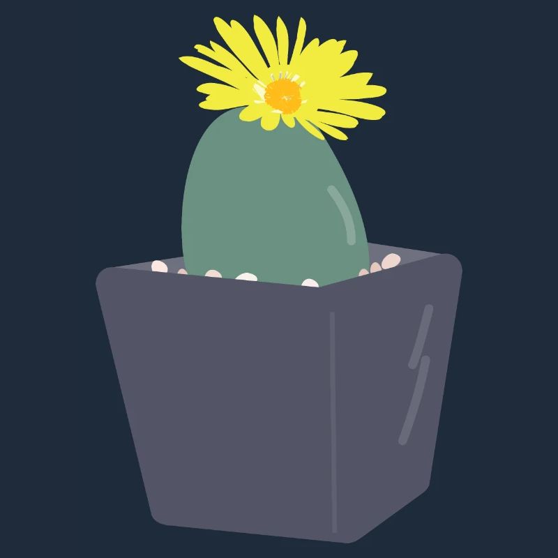 Lithops Blüte3