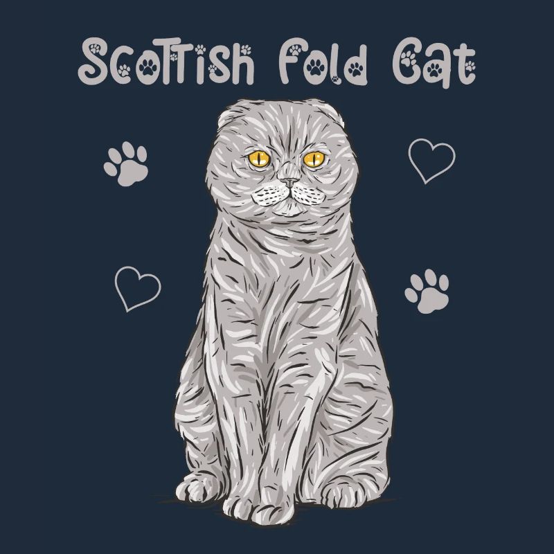 Scottish Folding Ear Cat Scottish Fold Gift