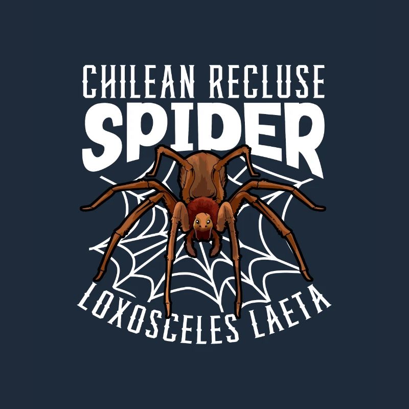 Chilean angle spider