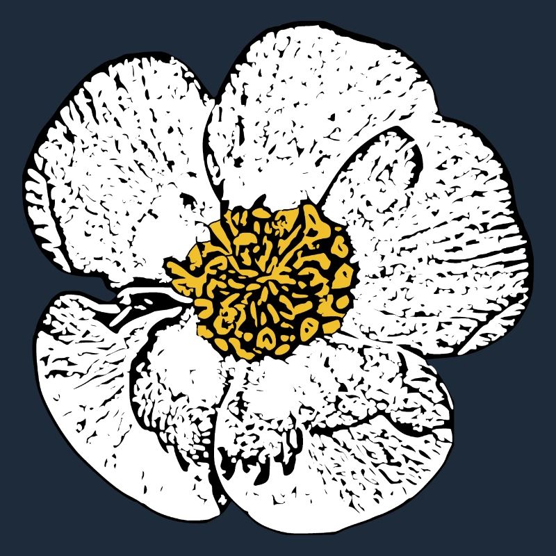 Blume weiß weiße Blumen Geschenk Muttertag Mutter