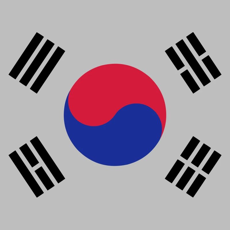 Drapeau Corée du sud / South Korean flag