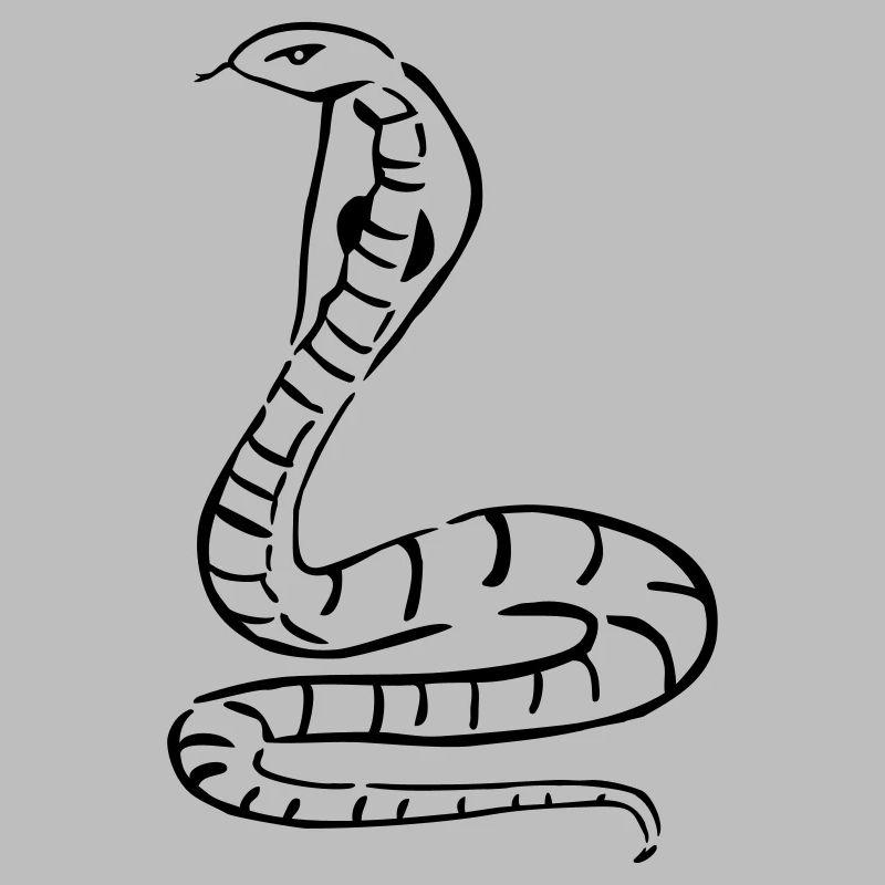 snake