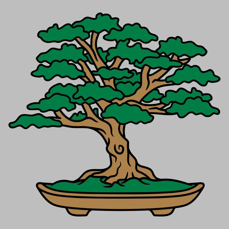 mini bonsai baeumchen blaetter aeste kleiner baum