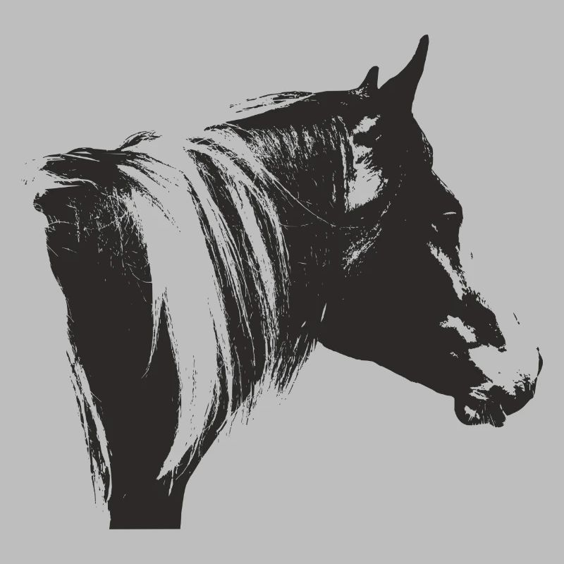 Lewitzer Schecke, Pferd Schecke, Pinto reiten