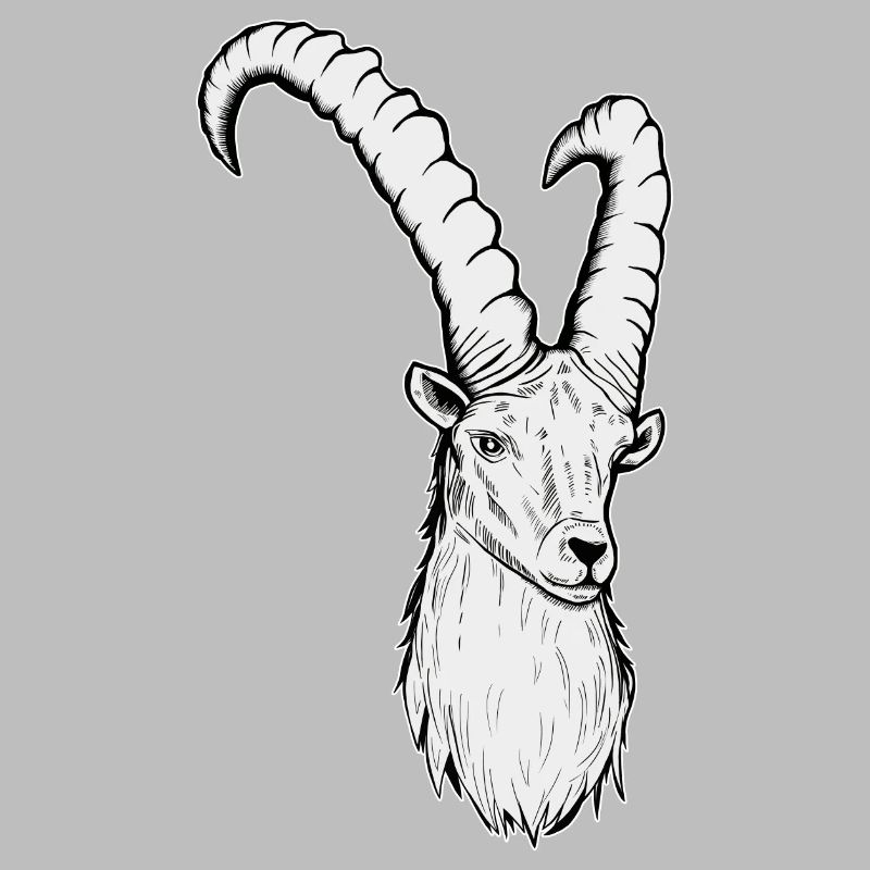 Steinbock Sternzeichen