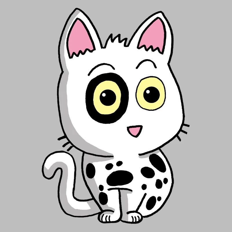 Black and white kitten