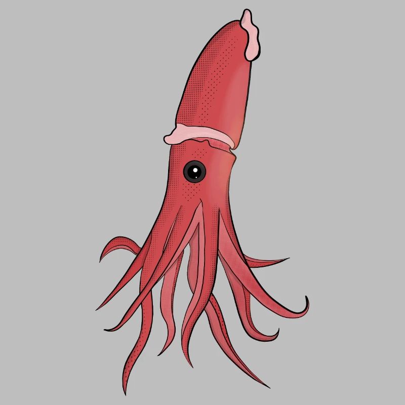 Sea Creatures A Beautiful Squid