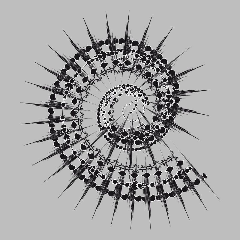 Shell shape snail in black and white