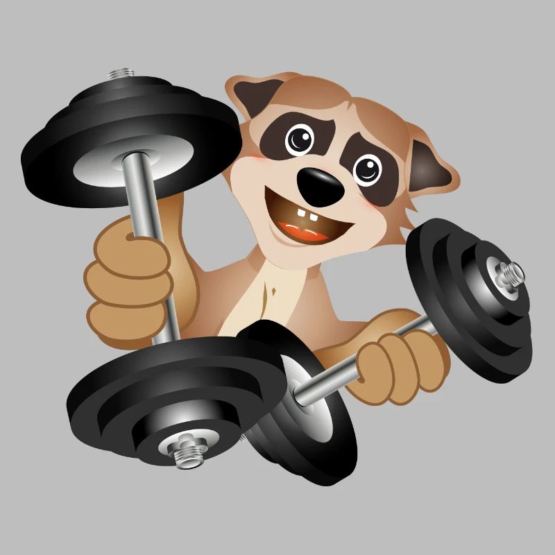 Bodybuilder meerkat with dumbbells while exercising