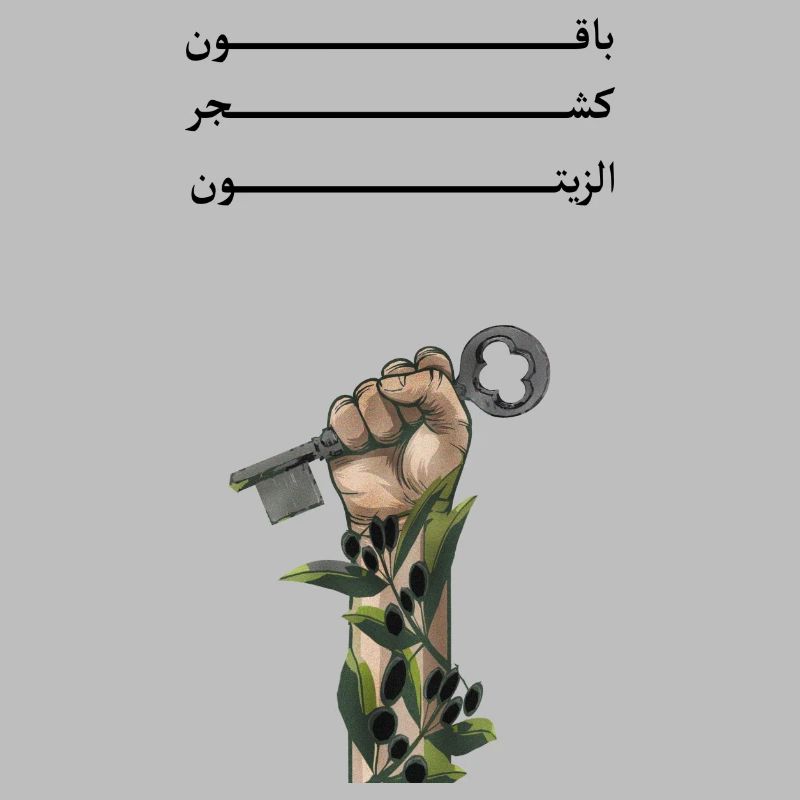 Solid like Oliven trees