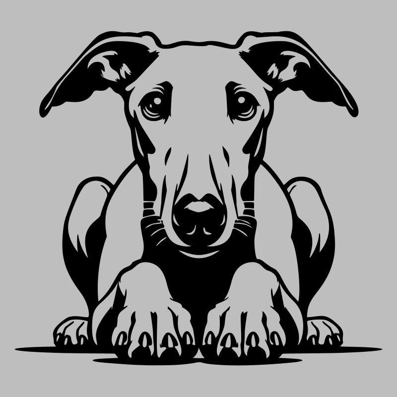 Whippet Kopf mit Pfoten